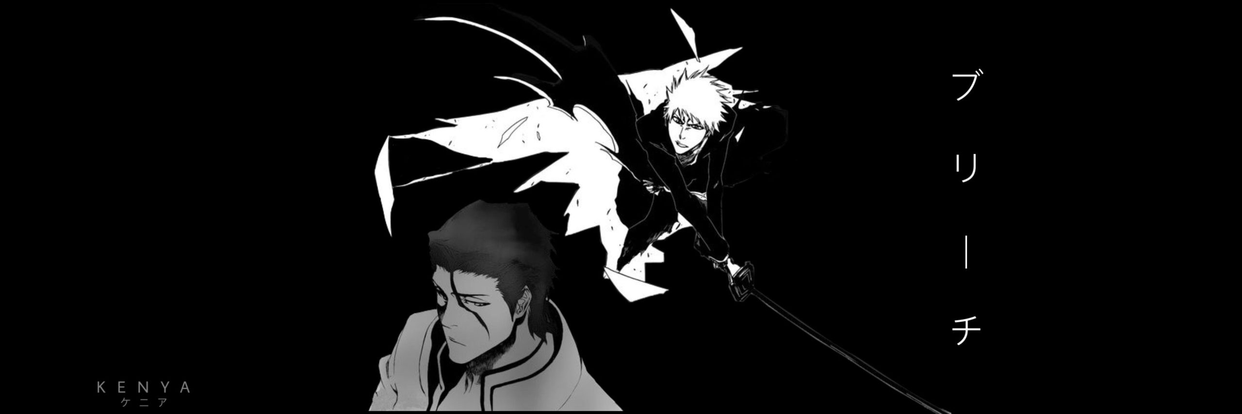 banniere-bleach-manga